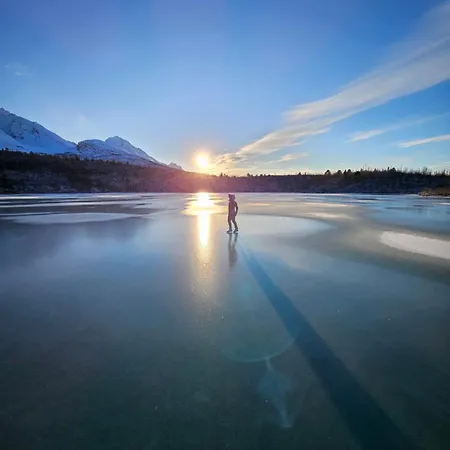 Willa Platinum Vip - Northern Light Luxury House *