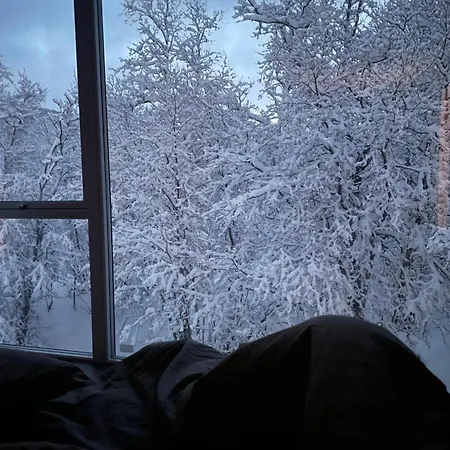 Villa Platinum Vip - Northern Light Luxury House