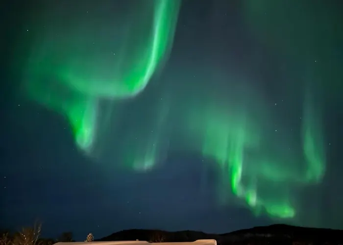 Willa Platinum Vip - Northern Light Luxury House *